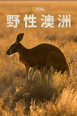 野性澳大利亚海报