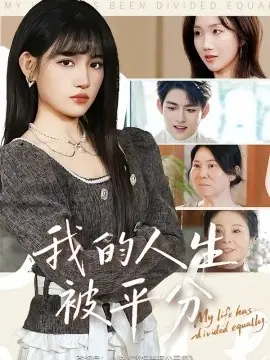 我的人生被平分海报