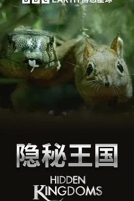 隐秘王国海报