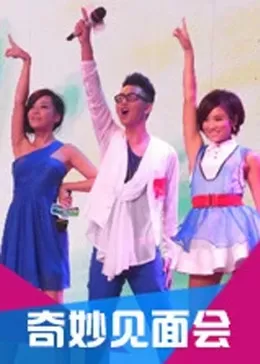 奇妙见面会海报