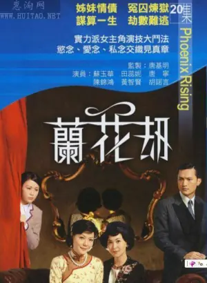 兰花刼(粤语)海报