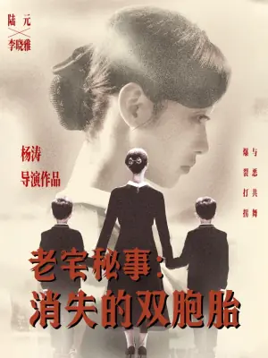 老宅秘事消失的双胞胎海报