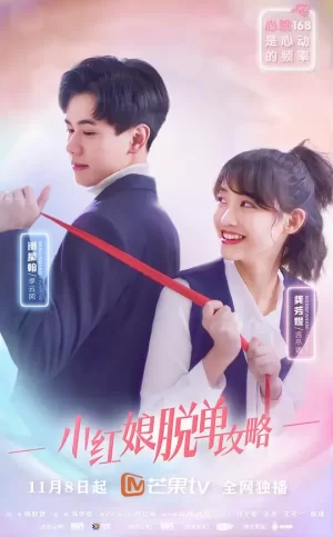 小红娘脱单攻略海报