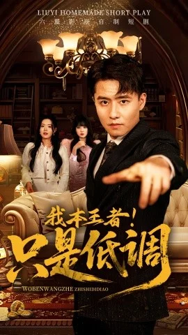 我本王者!只是低调海报