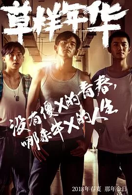 我的青春有个你海报