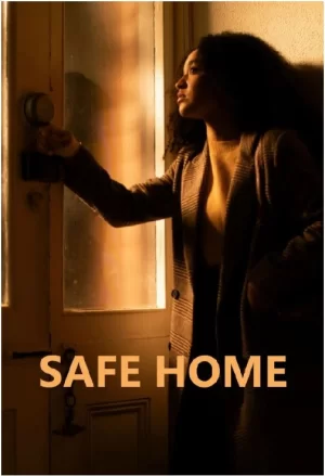 安全之家第一季海报