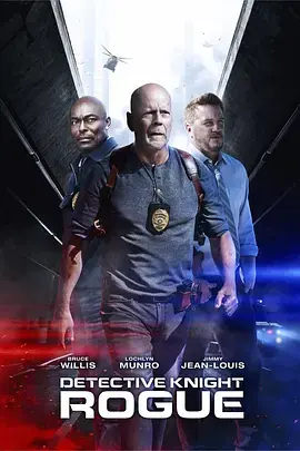 警探奈特:侠盗[电影解说]海报