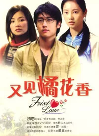 又见橘花香海报