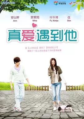 真爱遇到他[DVD版]海报