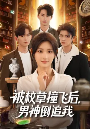 被校草撞飞后,男神倒追我海报