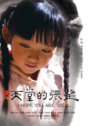 天堂的张望[影视解说]海报