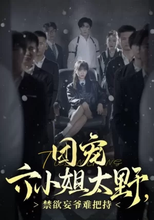 团宠六小姐太野,禁欲妄爷难把持海报