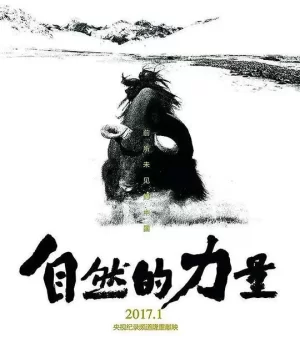 自然的力量海报