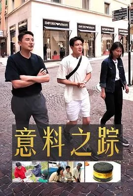 意料之踪(粤语)海报