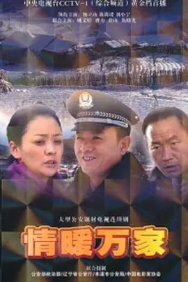 情暖万家海报