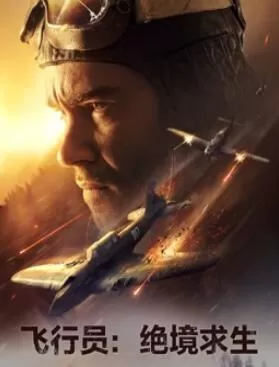 飞行员:绝境求生海报