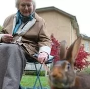 和帕特里夏·劳特利奇一起追寻碧翠丝·波特海报