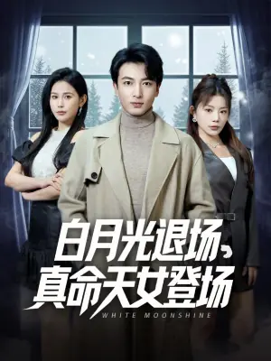 白月光退场真命天女登场海报
