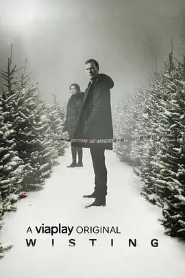 警探维斯廷第三季海报