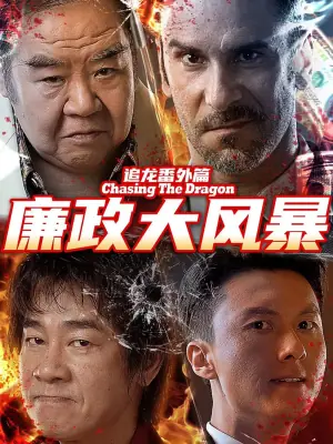 追龙番外篇之廉政大风暴海报