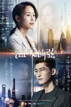 温暖的弦网络版海报