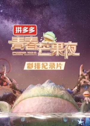 2020青春芒果夜彩排纪录片海报