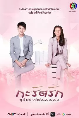 爱的幸福闪耀(泰语)海报