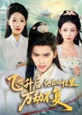 飞升后,他在回忆里万劫不复海报