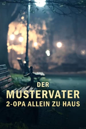 欢乐一家亲海报