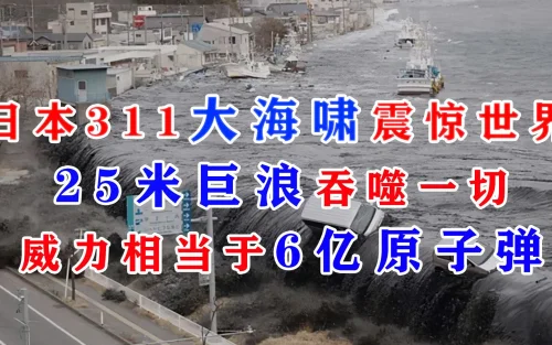 日本311大地震和海嘯的驚悚映像海报