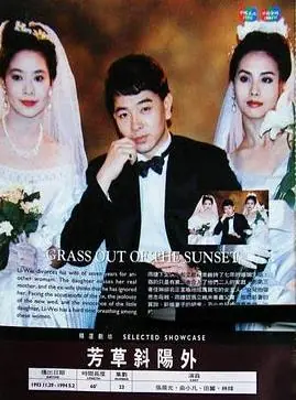 芳草斜阳外海报