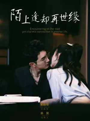 陌上逢却再世缘海报