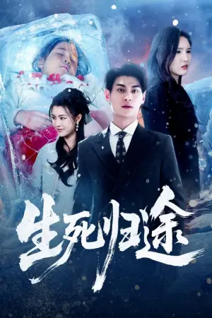 生死归途海报