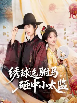 绣球选驸马,砸中小太监海报