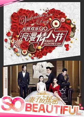 妻子的秘密[电影解说]海报