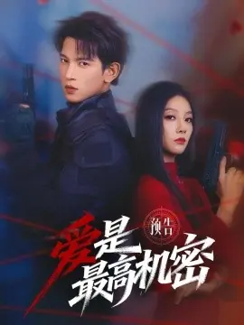爱是最高机密海报
