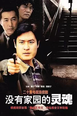 没有家园的灵魂[电影解说]海报