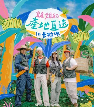 姐姐家的产地直送3海报