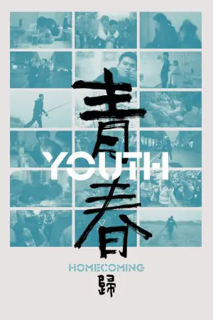 青春(归)海报