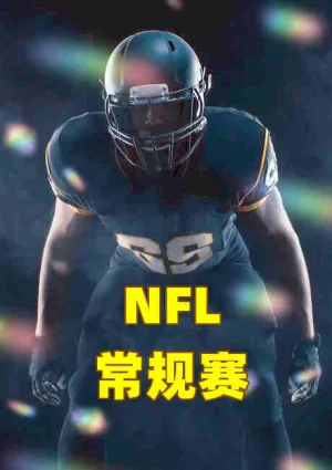NFL常规赛-黑豹vs海鹰-20221212海报