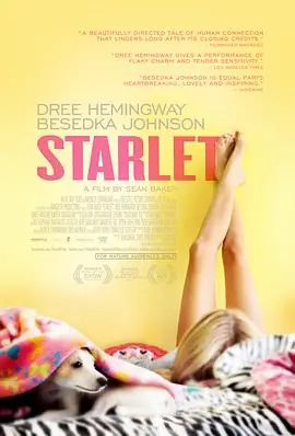 待绽蔷薇Starlet海报