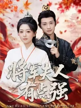 将军夫人有点强海报