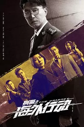 刑警之海外行动[电影解说]海报