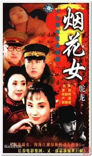 烟花女驼龙海报