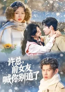 许总,前女友喊你别追了海报