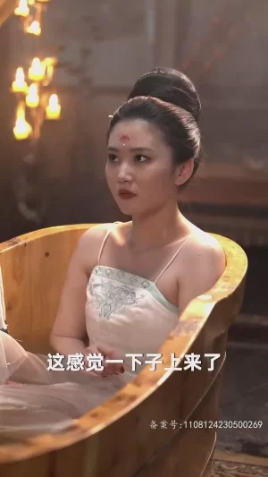 大夏无双君主海报