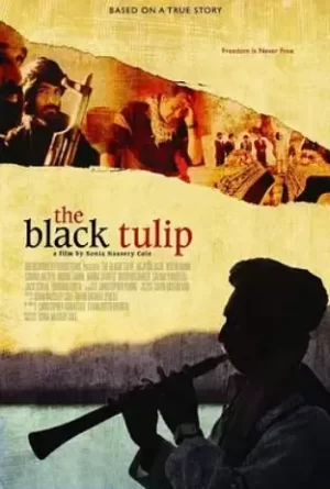 黑色郁金香海报