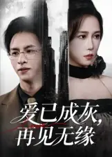 爱已成灰再见无缘(72集)海报