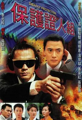 保护证人组(国语)海报