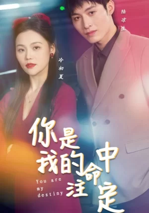 你是我的命中注定海报